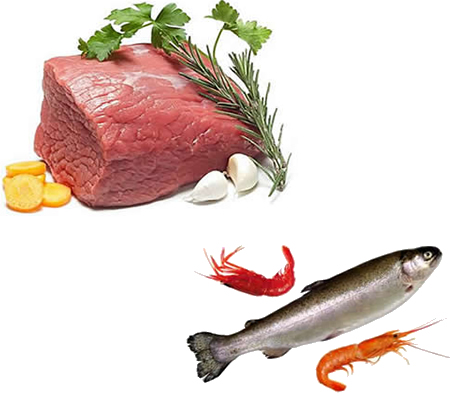 肉食品水產(chǎn)品烘干機、肉脯烘干設(shè)備、肉類烘干設(shè)備